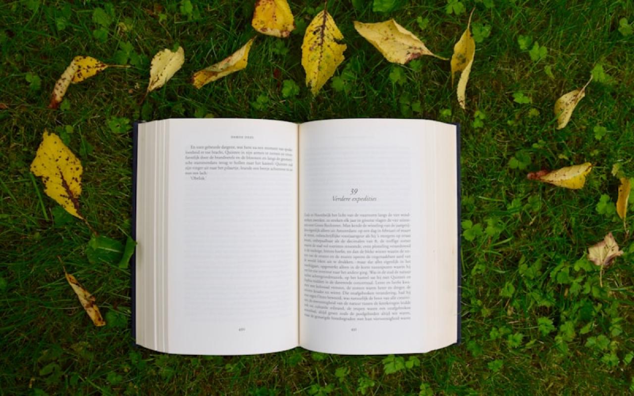 সাহিত্যে বাস্তববাদ